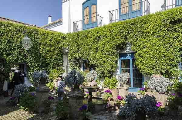 Córdoba 252 - palacio de Viana - patio de las Rejas.jpg